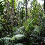 kuranda_0048