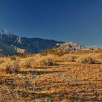 Wind Farm; San Jacinto Mt.