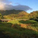 Bridge Near Hanalei