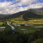 Hanalei Valley