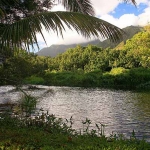 Hanalei Lagoon