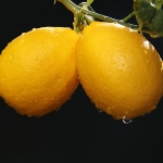 Two Lemons