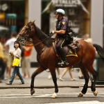 NYPD on Horseback