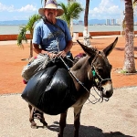 Man on a Burro