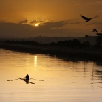 Ballona Creek, LA