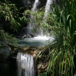 Waimea Bay Falls-Oahu