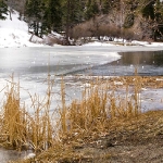 Jackson Lake in Winter